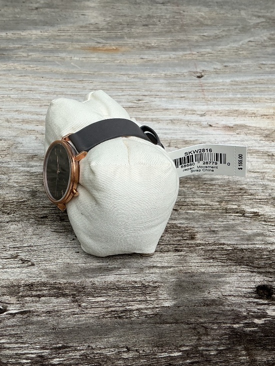 Skagen leather strap skw2816 WATCH main image 8